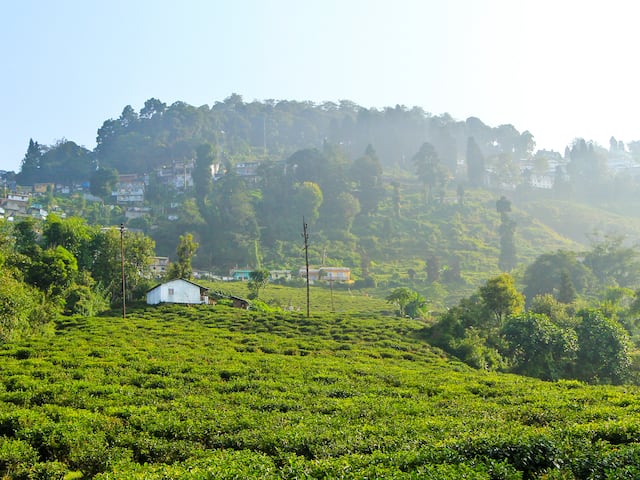 Darjeeling Tour Package from Kolkata: Exploring the Queen of Hills