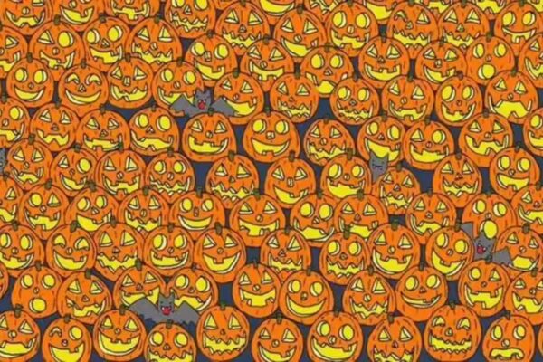 Visual Trickery: Spot the Noseless Jack-O’-Lantern in this Spooky Setting