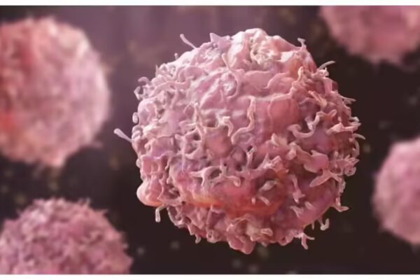 Revolutionary Advancement in Cancer Therapy: Researchers Create Experimental ‘Super Vaccine’ Yielding ‘Unmatched’ Outcomes in Mice with Cancer